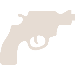 Файл:Bullet.png