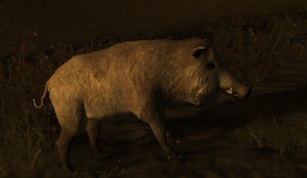 Файл:RustBoar.jpg