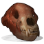 Bear Skull.png