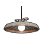 Ceiling Light.png
