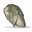 Spoiled Chicken.png