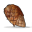 Cooked Chicken.png