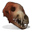 Wolf Skull.png