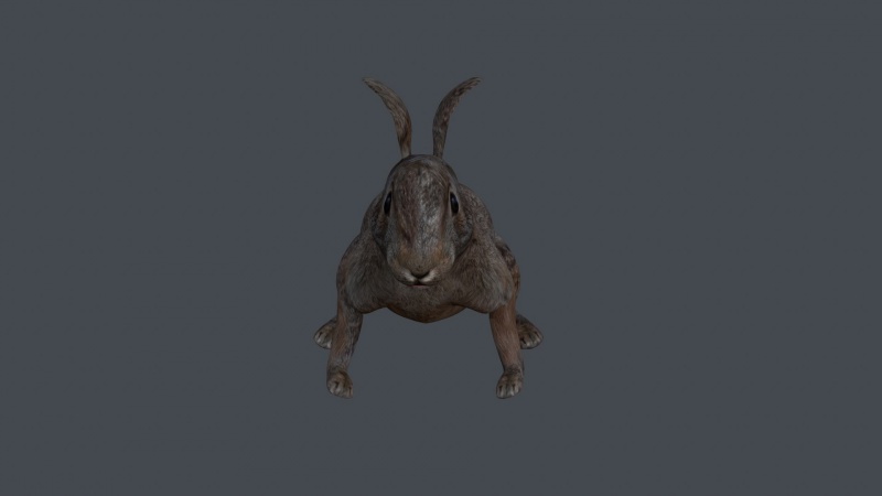 Файл:NWDM-hhoBQA.jpg