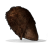 Burned Chicken