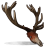 Deer Skull