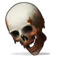 Human Skull.png