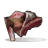 Raw Wolf Meat
