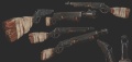Shotgun 16.01.2015.jpg