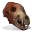 Wolf Skull.png